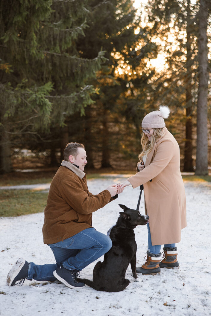Seven Bridges Engagement Photos with Dog