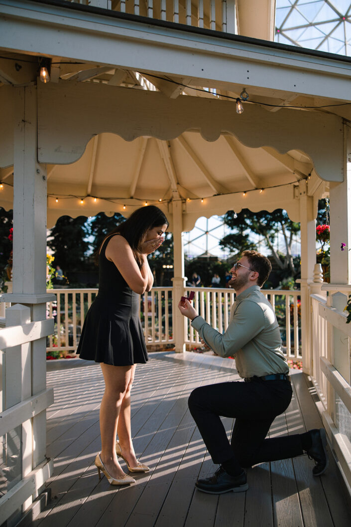 Mitchell Park Domes Surprise Proposal
