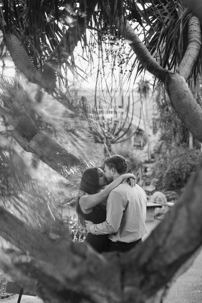 Mitchell Park Domes Surprise Proposal