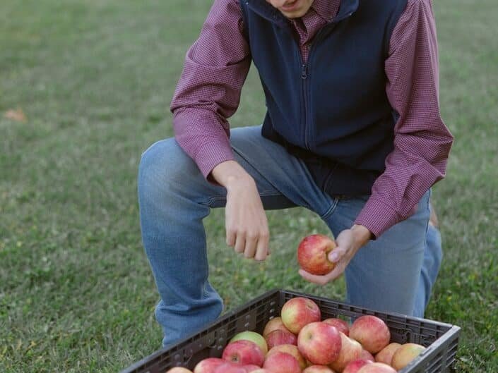 Brand Photography for an Organic Apple Farm
